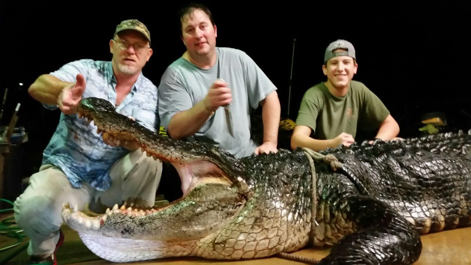 920 pound alligator largest ever killed on Lake Eufaula second