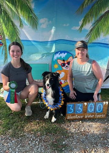 Discs and doc(k)s: Border collie returns to competitive sports after spinal injury