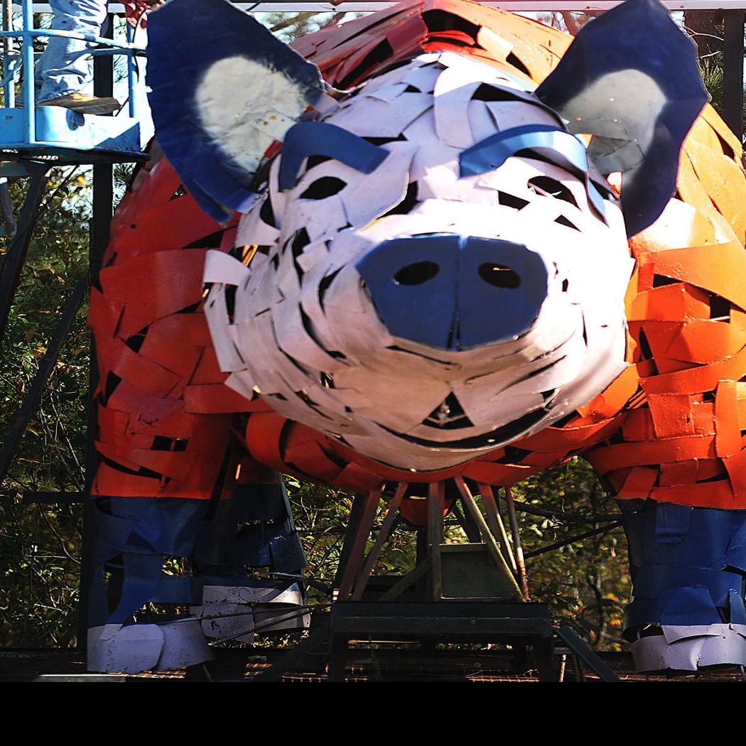 Schnitzer Pig Gets Crimson Paint Job Local News Dothaneagle Com