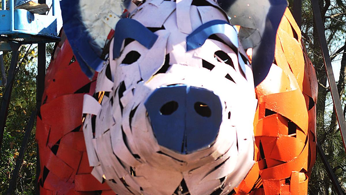 Schnitzer Pig Gets Crimson Paint Job Local News Dothaneagle Com