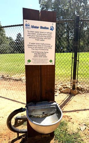 Girl Scout earns highest honor for dog park project in Enterprise
