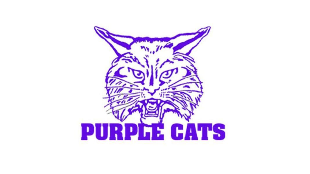 DothanEagle.com - Ariton gets big win over Elba image