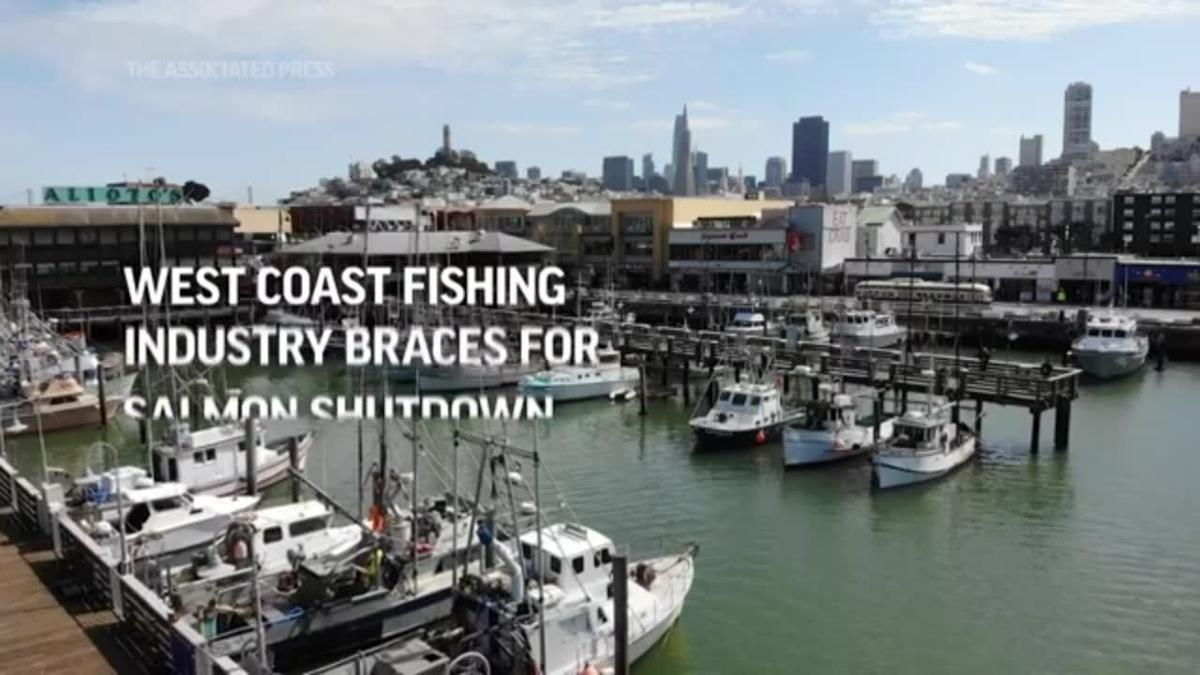 Fishing regulators need more transparency, ocean groups say