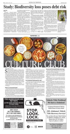 Page A6