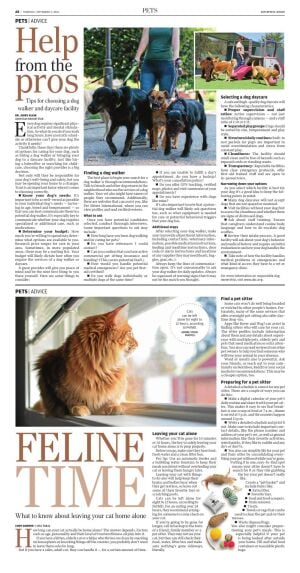 Page A8