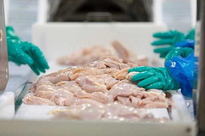 Poultry, Meat, & Seafood Processing
