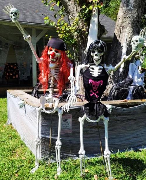 THE SKELETON HOUSE