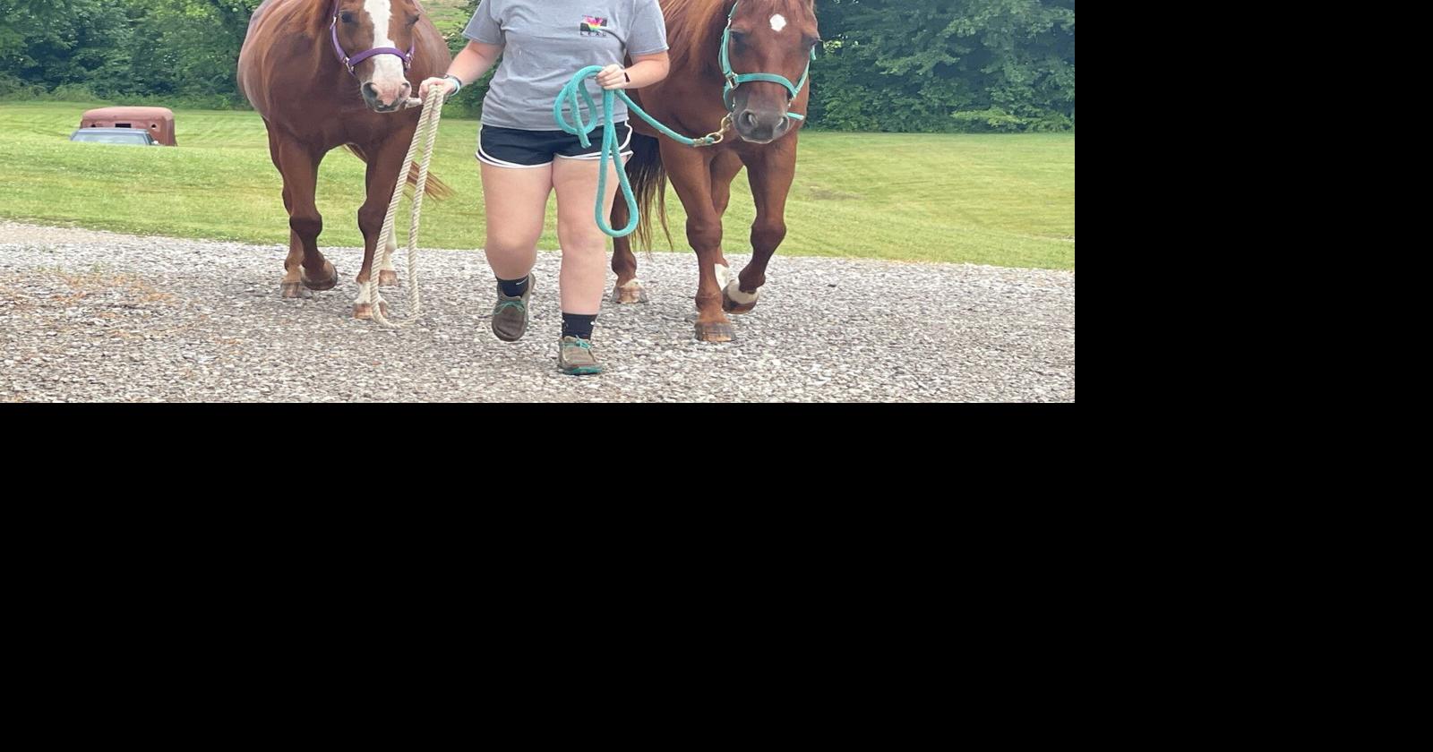 Horses and ponies checkinto Dubois County Fair News