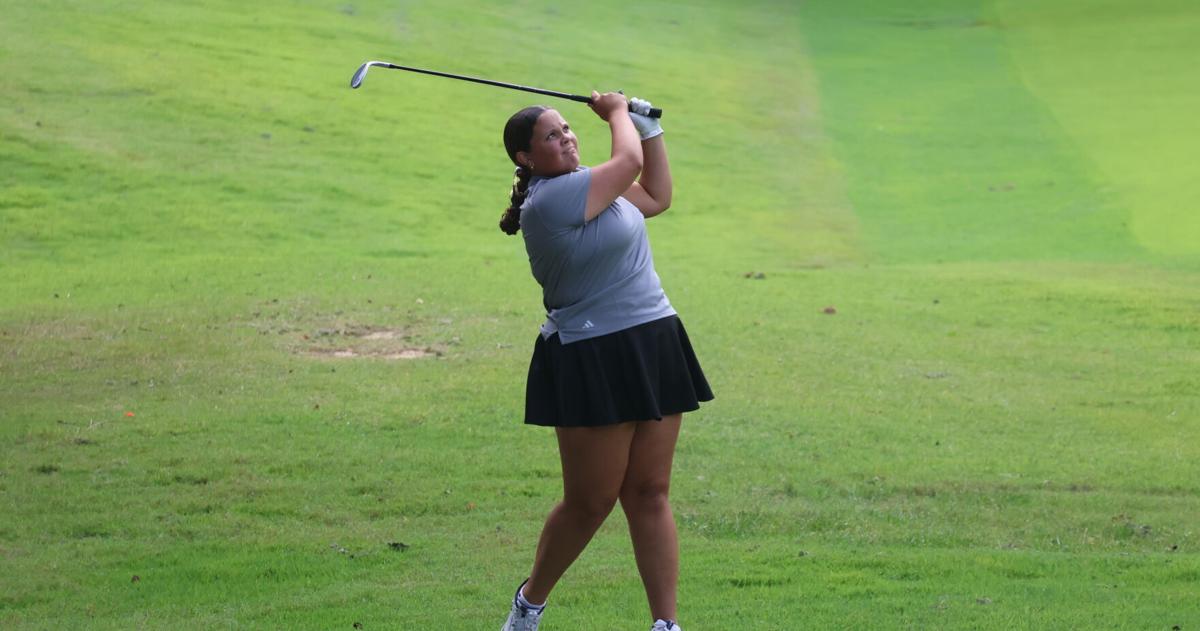 Cats fall to Highlanders in dual