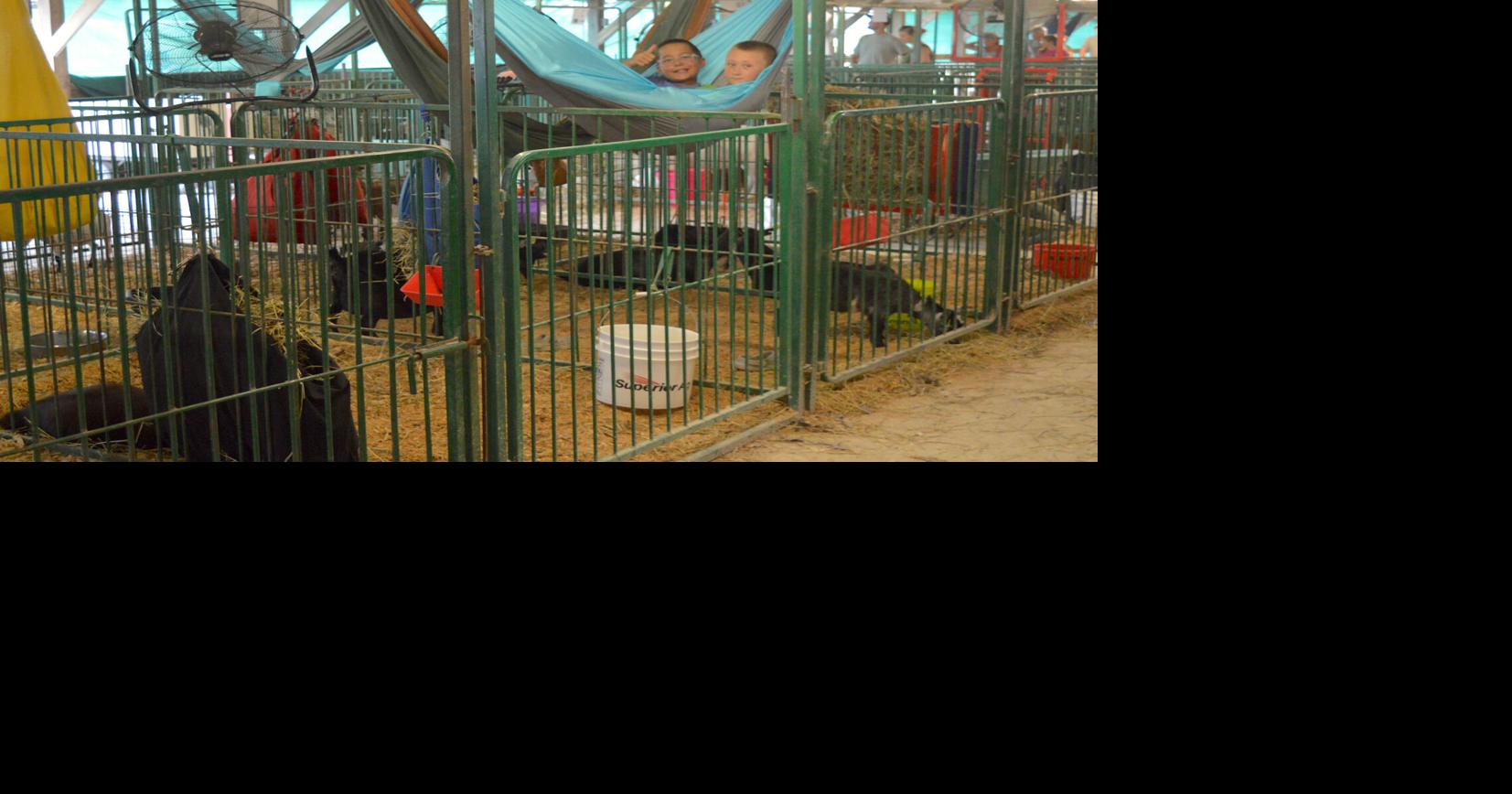 Opening day at the 4-H fair!