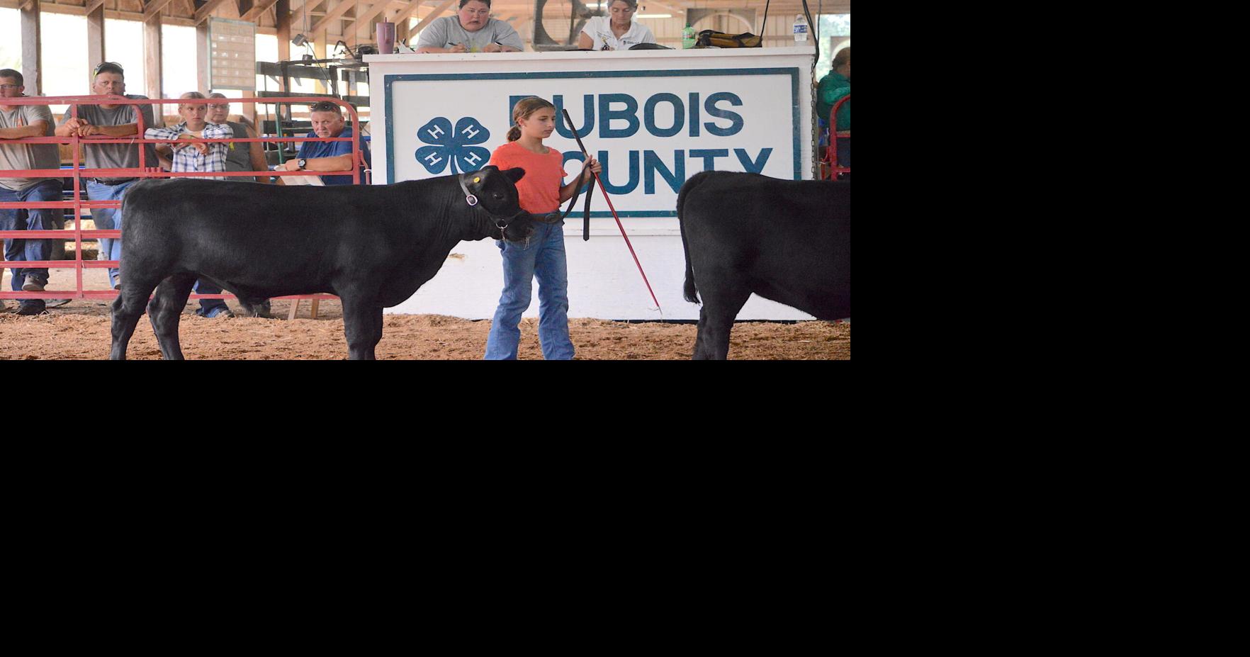Dubois County 4-H Fair weaves educations with excitement