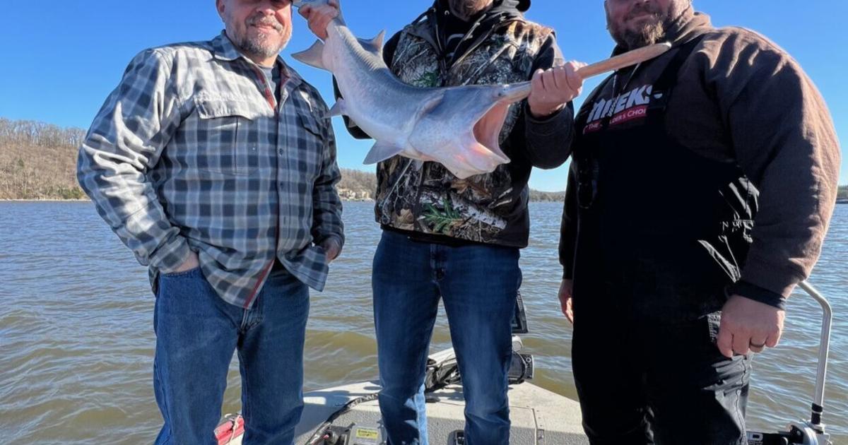 Lake of the Ozarks Delivers New World Record Paddlefish | Sports ...