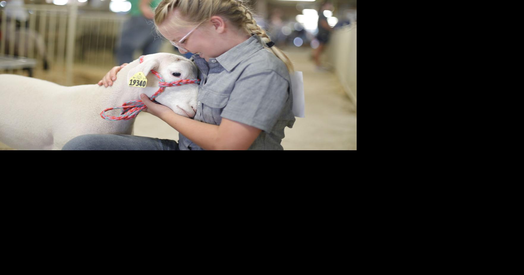 Dubois County 4H Fair Tuesday Photos