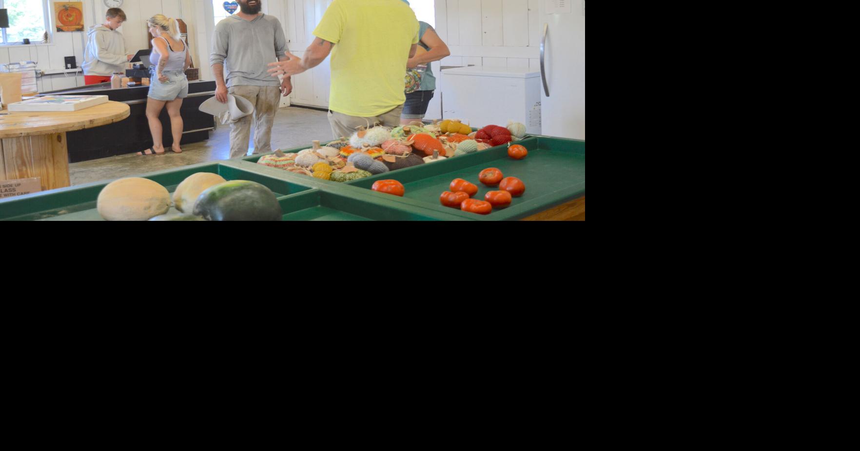 Pumpkins & More welcome local business to a day at the farm