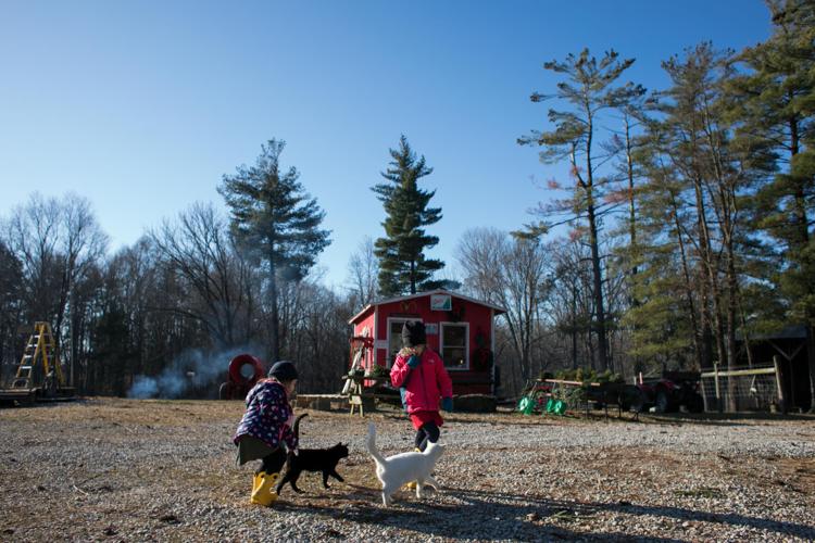 Christmas Tree Farm Keeps Real Tree Tradition Local News Duboiscountyherald Com