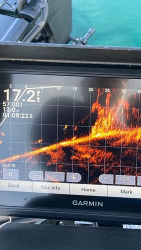 Forward-facing sonar is an angling game changer, part 1