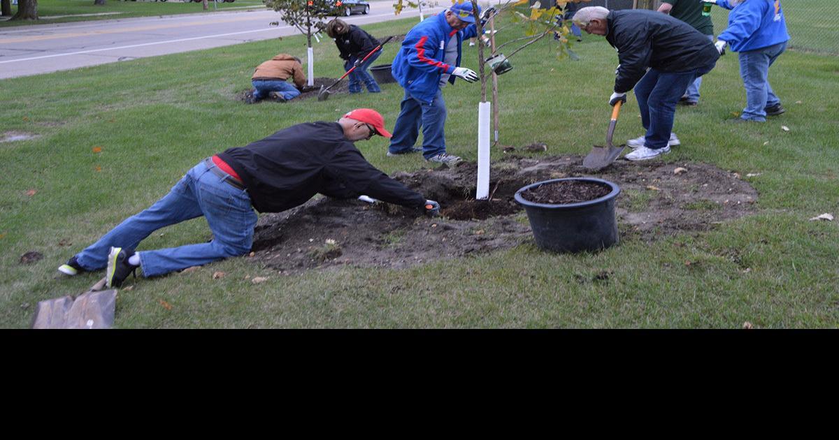 Dozen trees planted at Commercial Club Park News