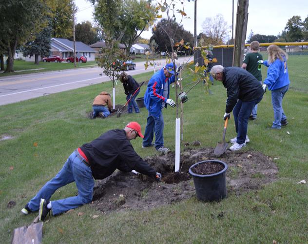 Dozen trees planted at Commercial Club Park News