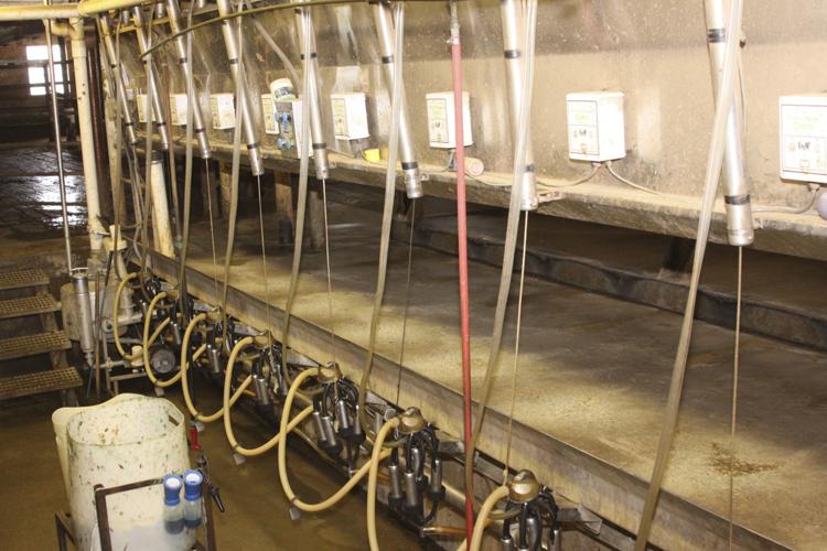 Venteicher operation true reflection of family farm News