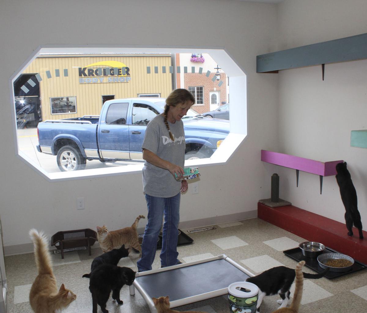 Whispurring Hope Rescue, giving animals a second chance News