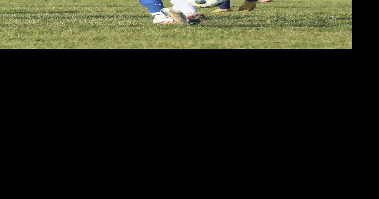 Blazers end season at Alburnett