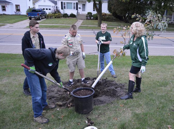 Dozen trees planted at Commercial Club Park News