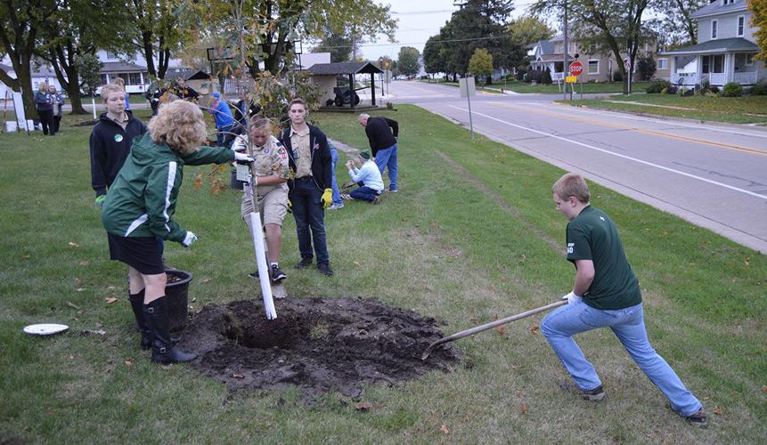 Dozen trees planted at Commercial Club Park News