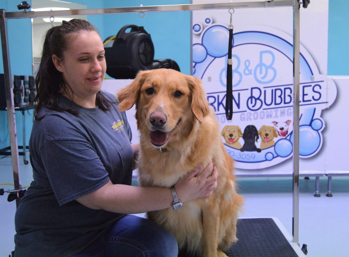 Dog Grooming, Bark & Bubbles Pet Salon