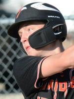 Springville baseball: Sheda, Ripple named to All-TRC West division teams