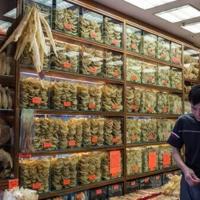 Dried shark fins and fish maws are sold in a shop in Hong Kong in March 2016