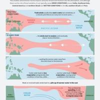 Every El Nino is different, but major events often follow familiar patterns, including drought across parts of the Amazon, Indonesia and Australia, disrupted monsoons in India, and shifting rainfall throughout the tropics