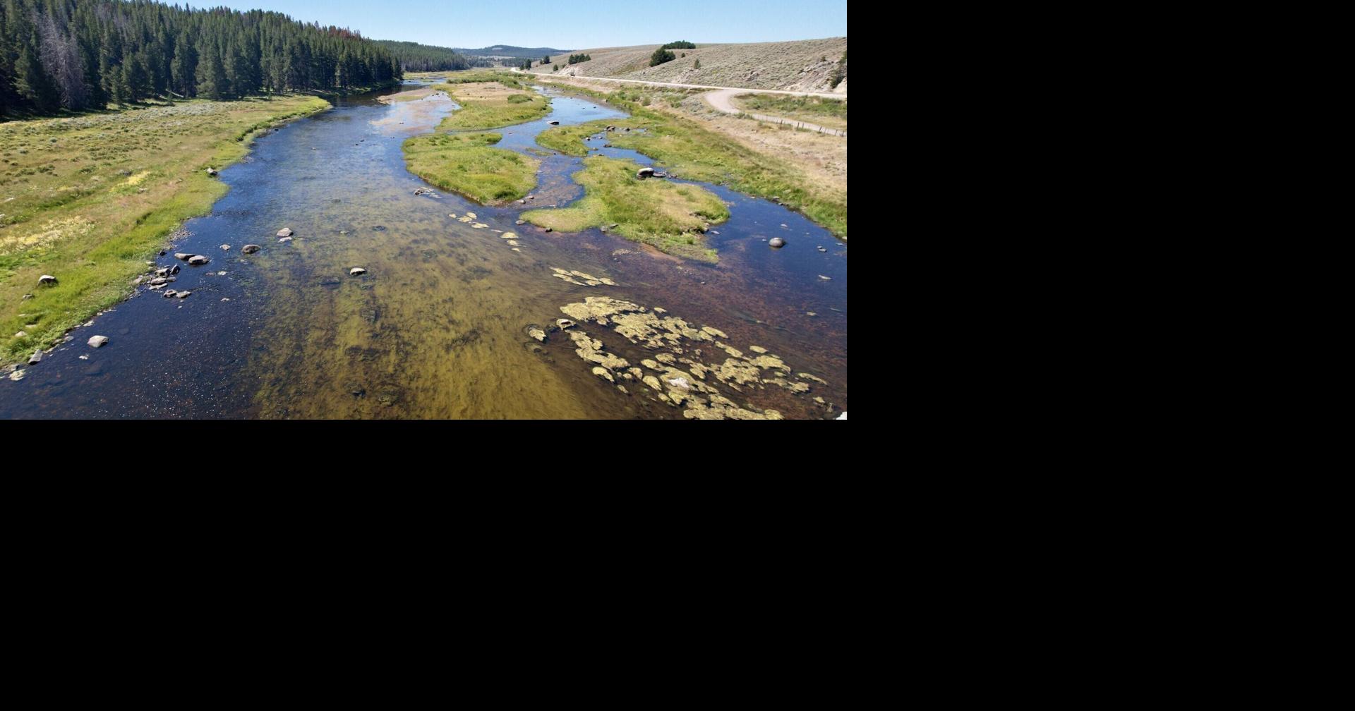Montana DEQ proposes Big Hole River 'impairment' designation for algae