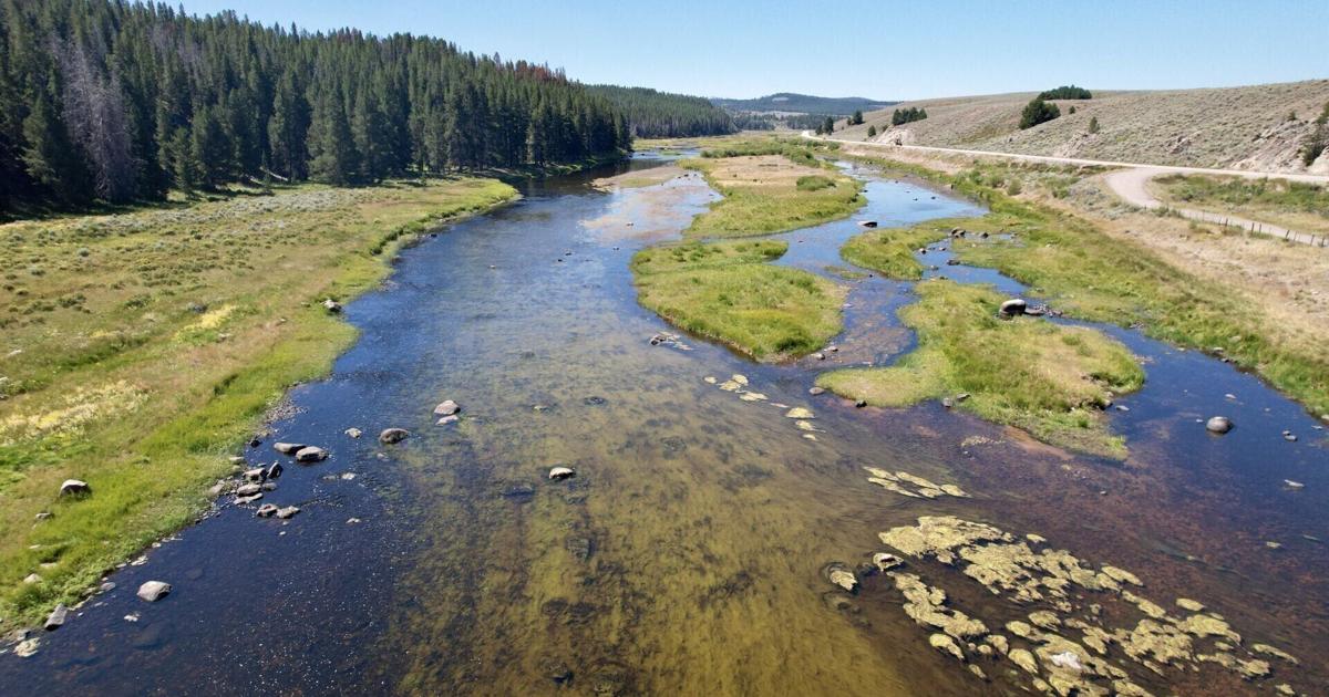 Montana DEQ proposes Big Hole River 'impairment' designation for algae