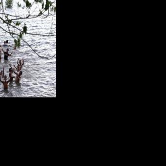Children swim during high tide off Serua Island in Fiji