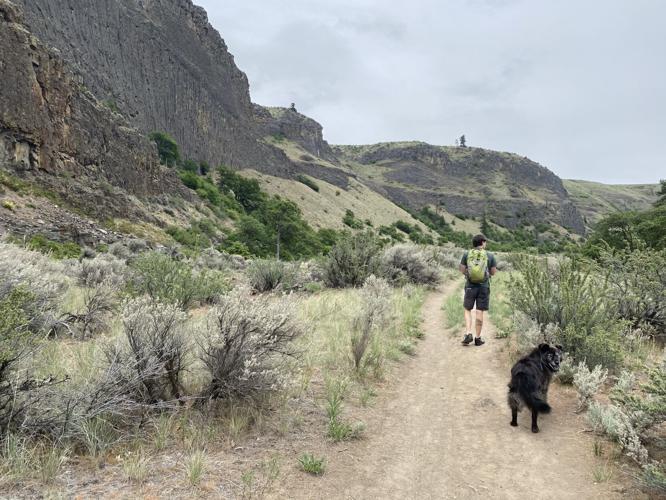 Three hikes to explore the Yakima area in the spring | Outdoor ...