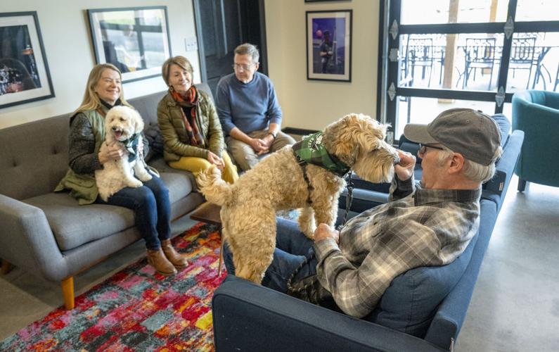 Business offers dogfriendly Walla Walla area wine tours Walla Walla