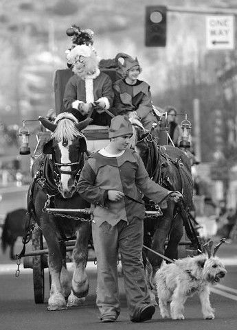 Carriage festival highlights old-fashioned Christmas fun