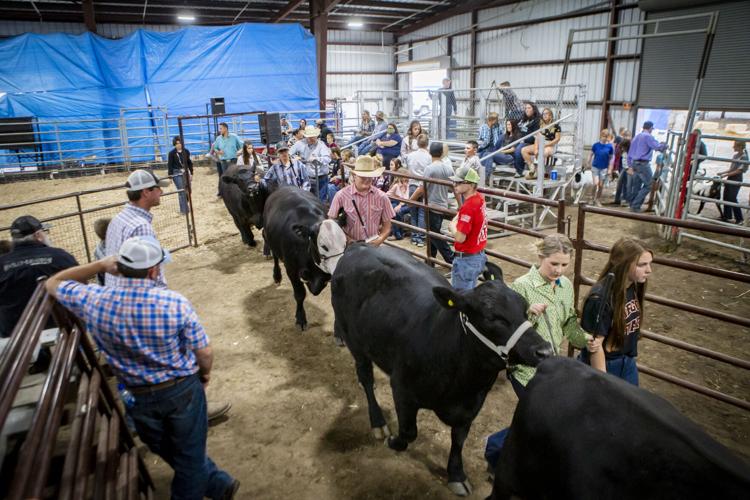 Morrow County Fair brings families together Zootechnics