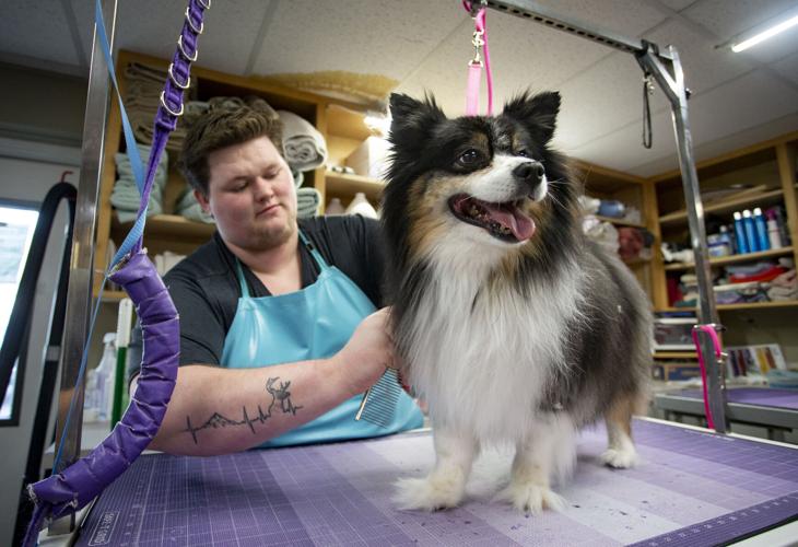 Do You Tip Petsmart Groomers In 2022? (Your Full Guide)