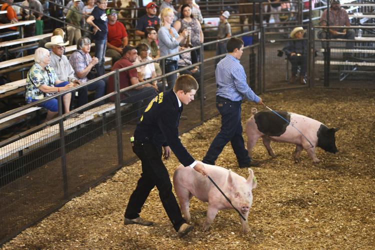 Morrow County Fair highlights the best News