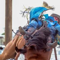 Local roundup: BMCC rodeo teams headed to College National Finals