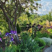 Homeplace: Gardening online not for shrinking violets
