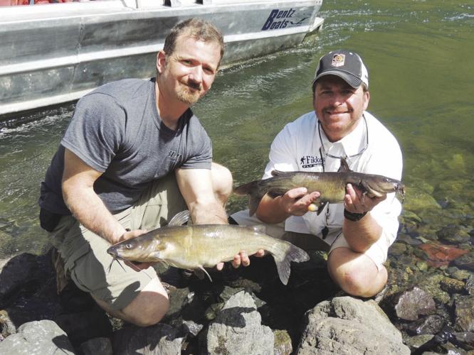 The Best Bait To Use While Fishing in Hells Canyon
