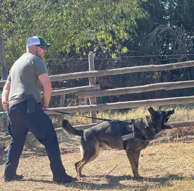 County's new K9, handler, begin training