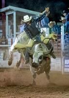 76th annual Chief Joseph Days Rodeo to feature famous rodeo clown