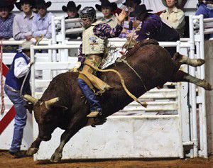 Rodeo Hard Bull Riding Protective Helmet - Rodeo Equipment