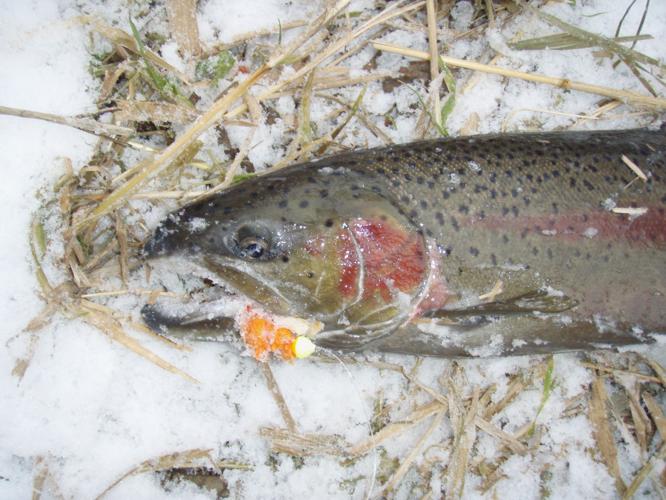 Fly Fishing Casts A Spell - Indianapolis Monthly