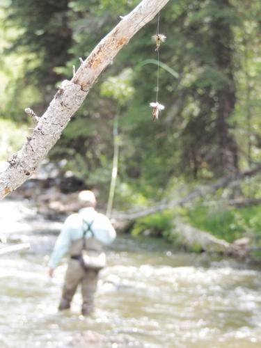 Guided Fly Fishing Trips on Piney River