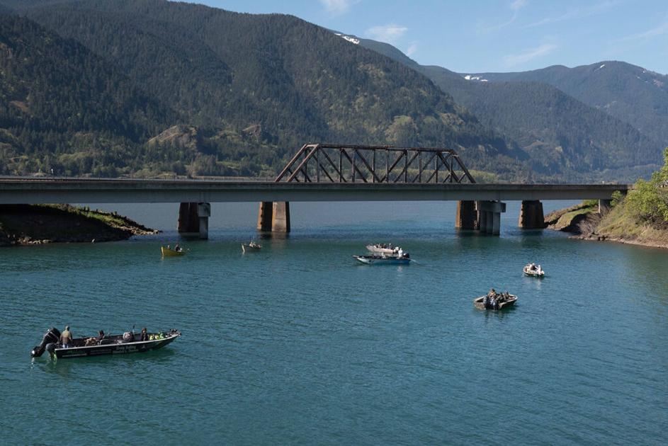Thermal hopscotch: How Columbia River salmon are adapting to climate change - East Oregonian
