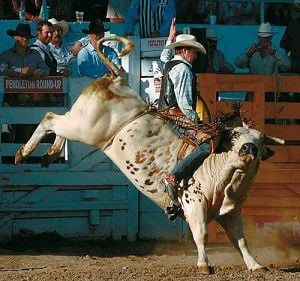 Missoula's Jenkins tops bull riders at 73rd Drummond PRCA Rodeo